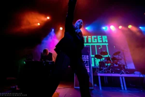 tigerjunge tigerjunge